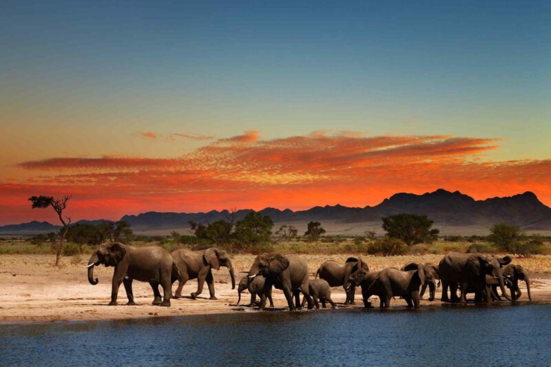 4-Day Tarangire, Serengeti & Crater - Big Five Safari