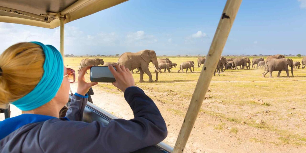 2 Day Group Safari Tarangire Ngorongoro