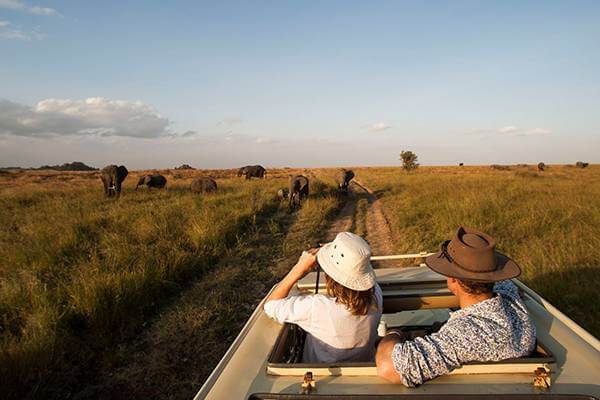 serengeti game drive