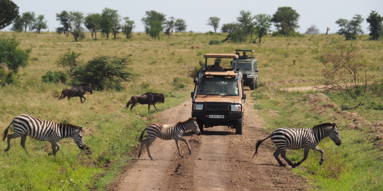 3 Day Safari Serengeti & Ngorongoro