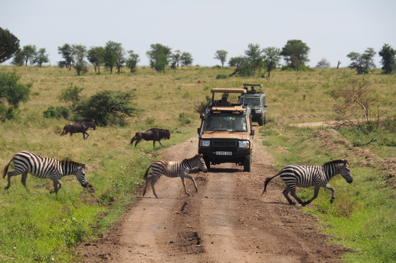 3 Day Safari Serengeti & Ngorongoro