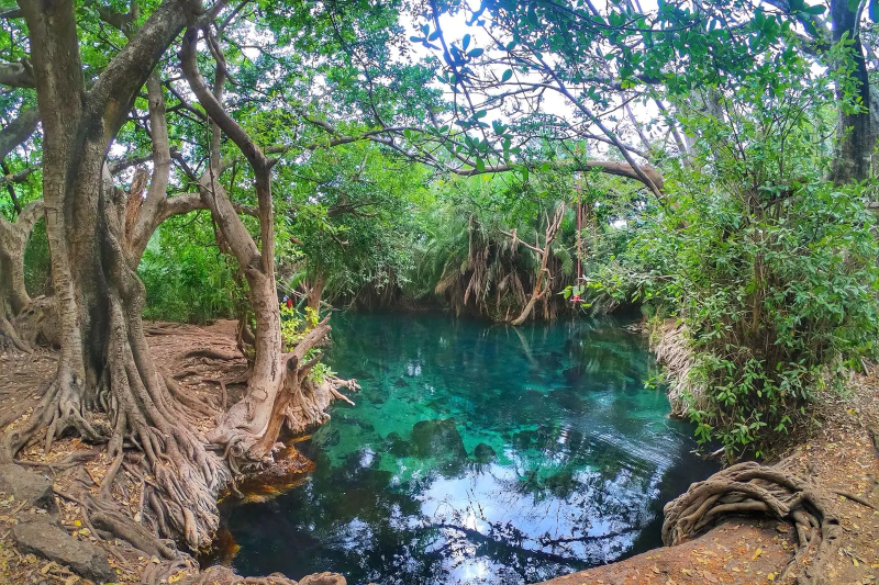 Kikuletwa Chemka Hot Spring