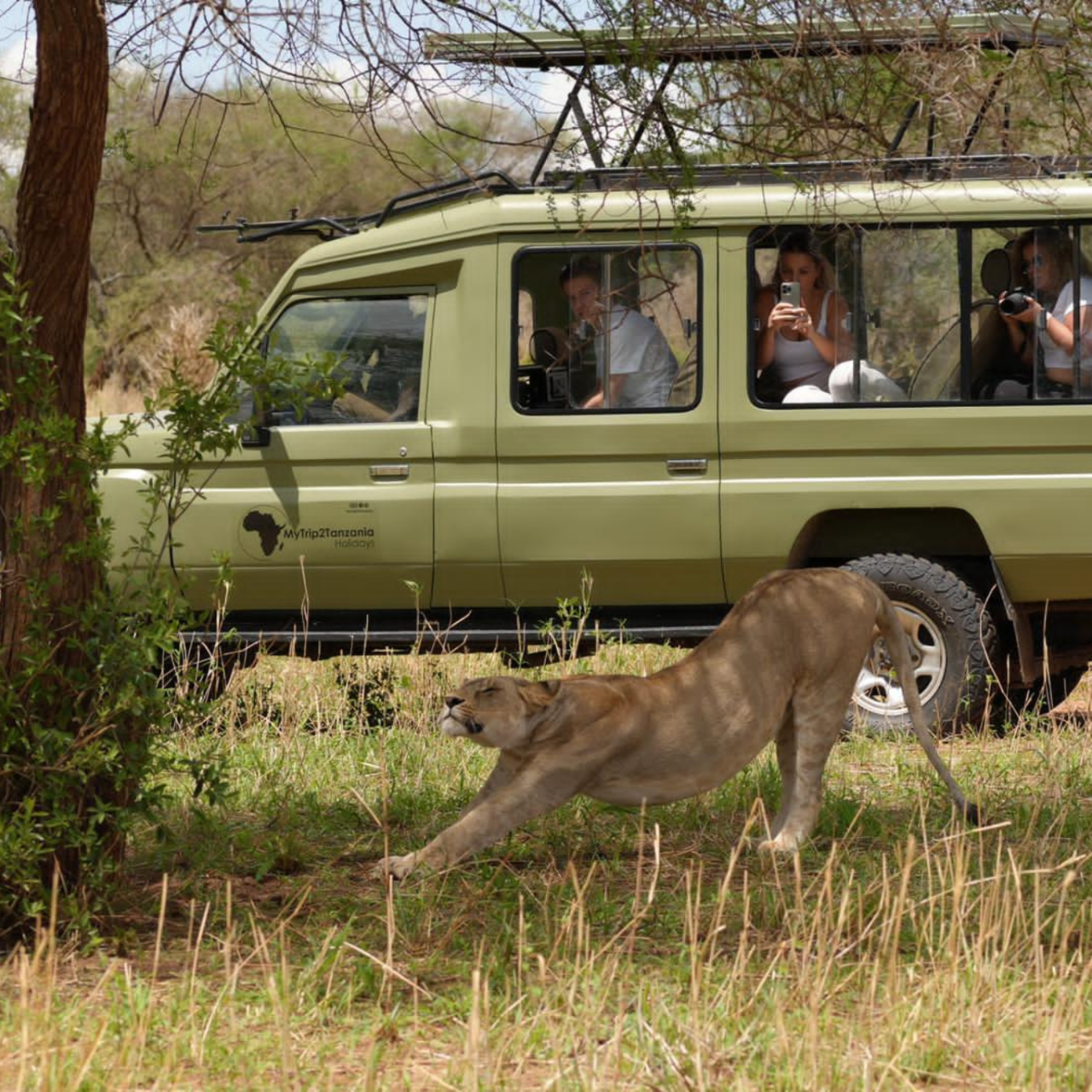 7-Day Tanzania Safari Odyssey