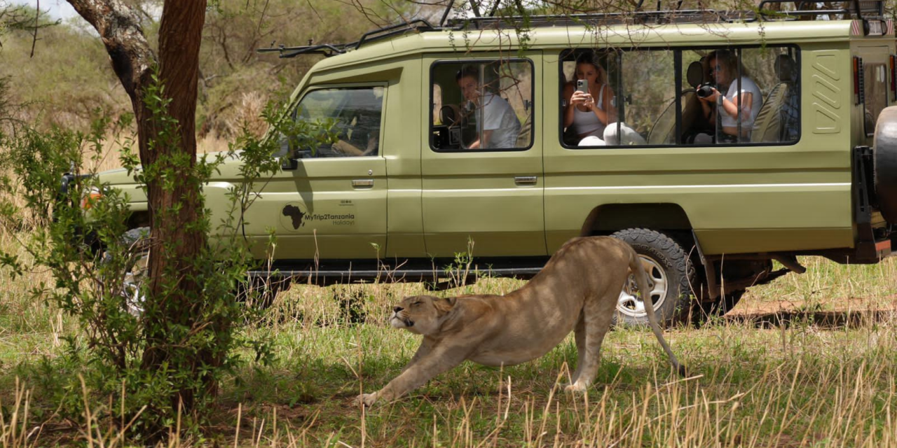 7-Day Tanzania Safari Odyssey
