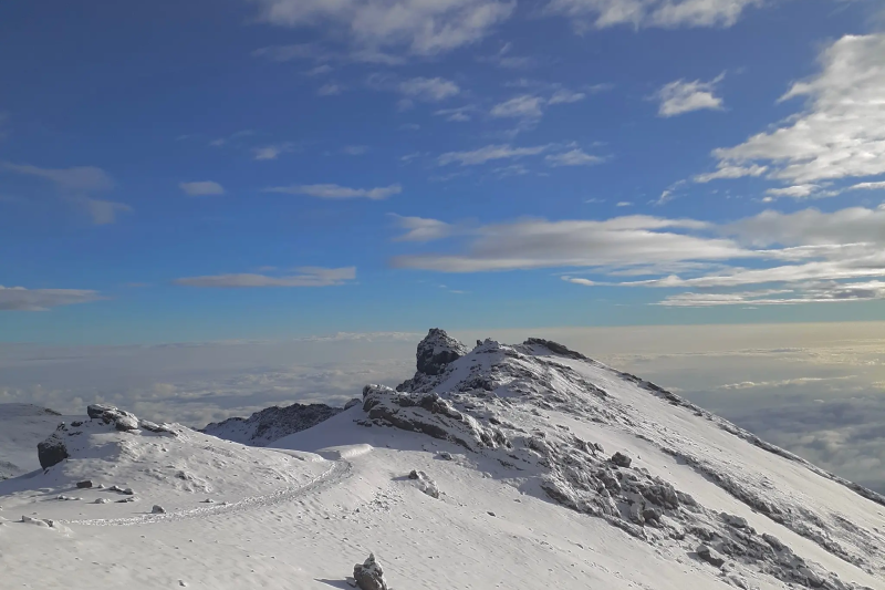 8-Day Kilimanjaro Lemosho Route Trek
