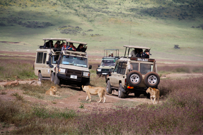 4-Day Best Tanzania Safari