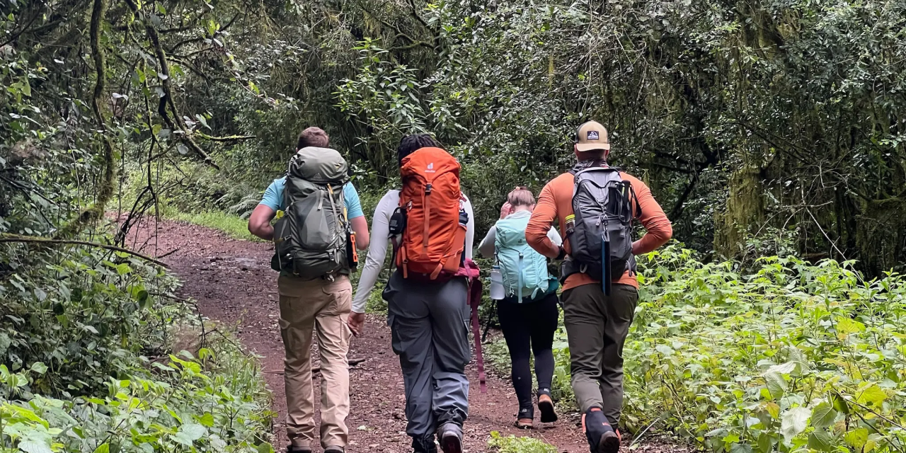 5-Day Kilimanjaro Trek via Marangu Route
