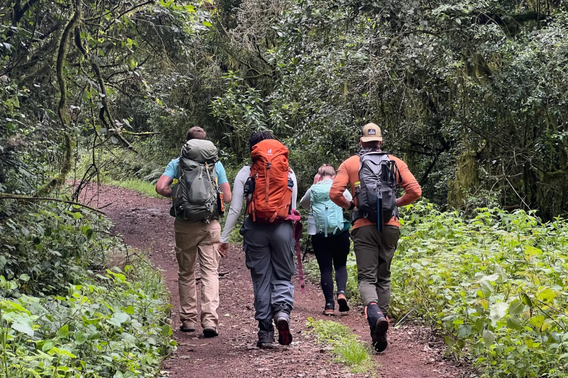 5-Day Kilimanjaro Trek via Marangu Route