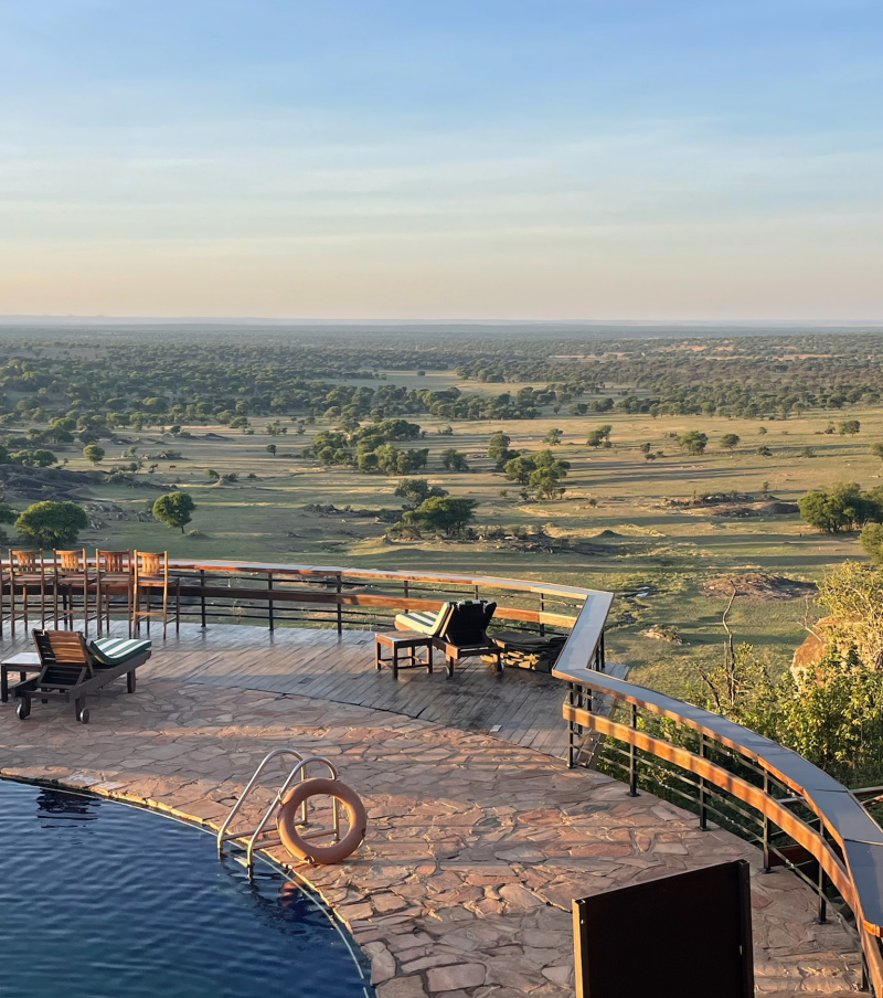 7-Day Tanzania Safari Odyssey