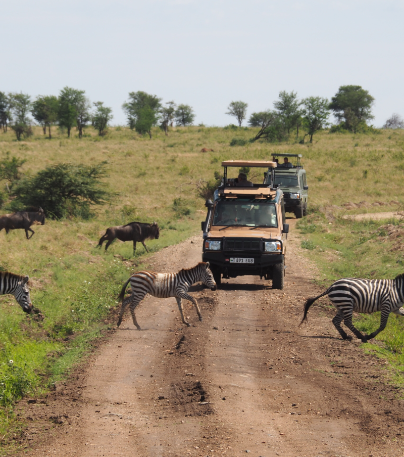 3-Day Safari Serengeti & Ngorongoro