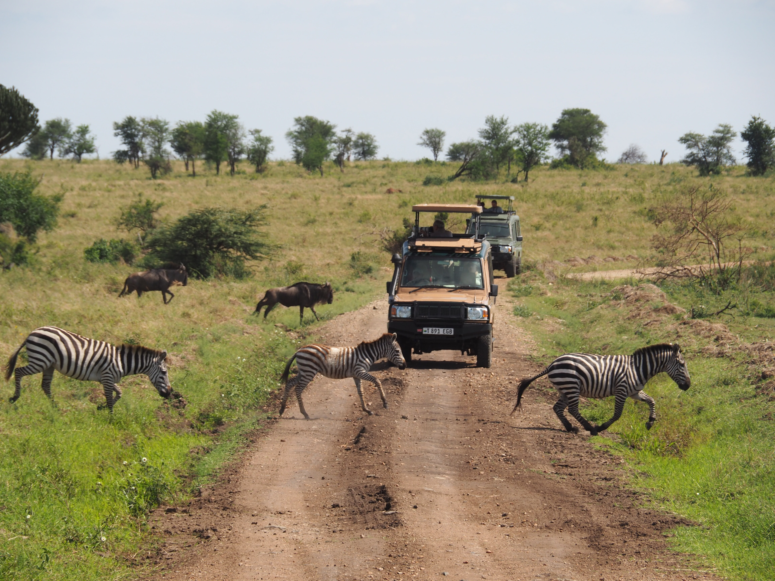 4-Day Best Tanzania Safari