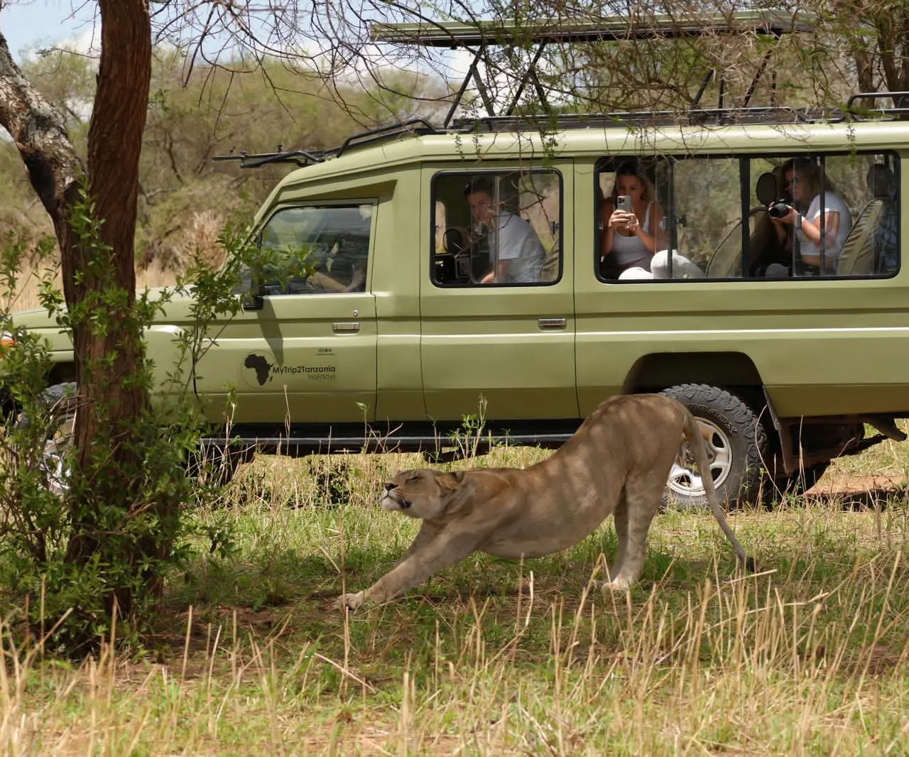 2-Day Fly-in Safari from Zanzibar to Tarangire & Crater