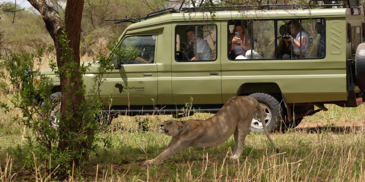 2-Day Fly-in Safari from Zanzibar to Tarangire & Crater