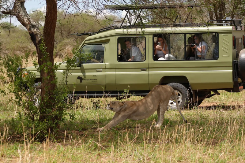 2-Day Fly-in Safari from Zanzibar to Tarangire & Crater