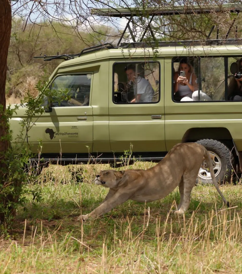 2-Day Fly-in Safari from Zanzibar to Tarangire & Crater