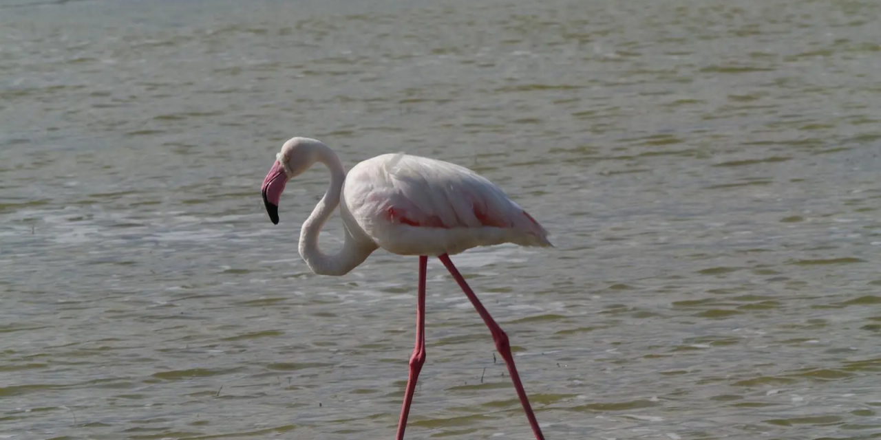 3-Day Tarangire & Ngorongoro Safari Materuni Waterfalls