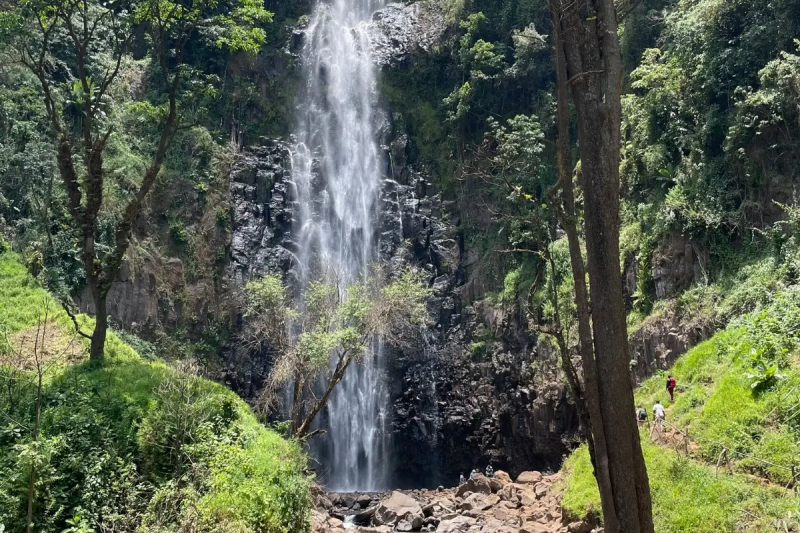 Materuni Waterfalls & Coffee Tour