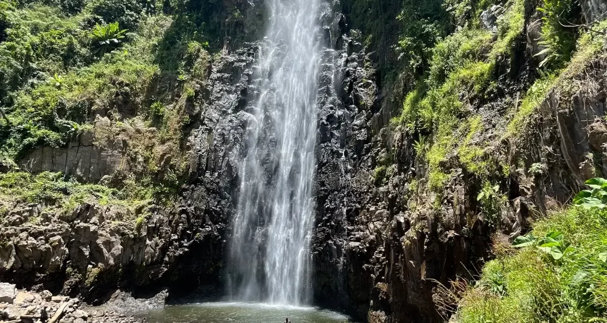 Materuni Waterfalls & Coffee Tour