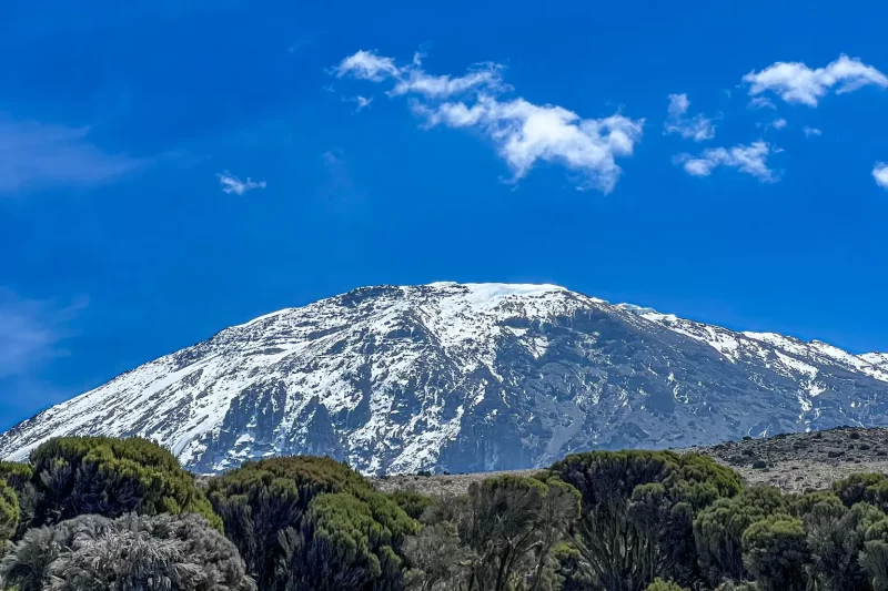 Mount Kilimanjaro Day Hike