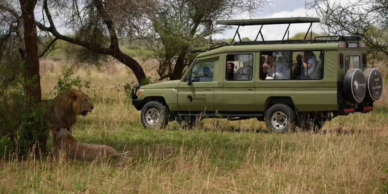 2-Day Fly-in Safari from Zanzibar to Tarangire & Crater