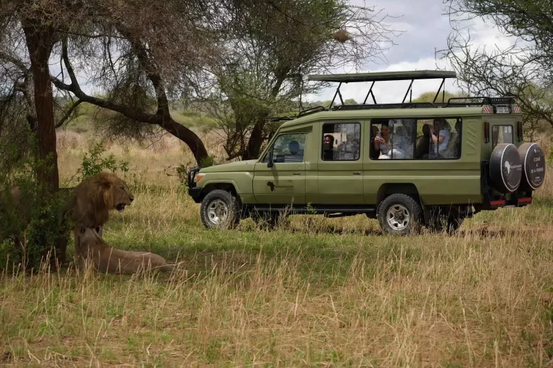 2-Day Fly-in Safari from Zanzibar to Tarangire & Crater