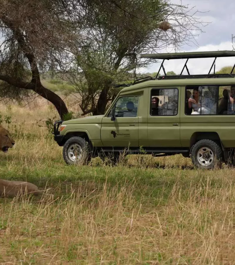 2-Day Fly-in Safari from Zanzibar to Tarangire & Crater