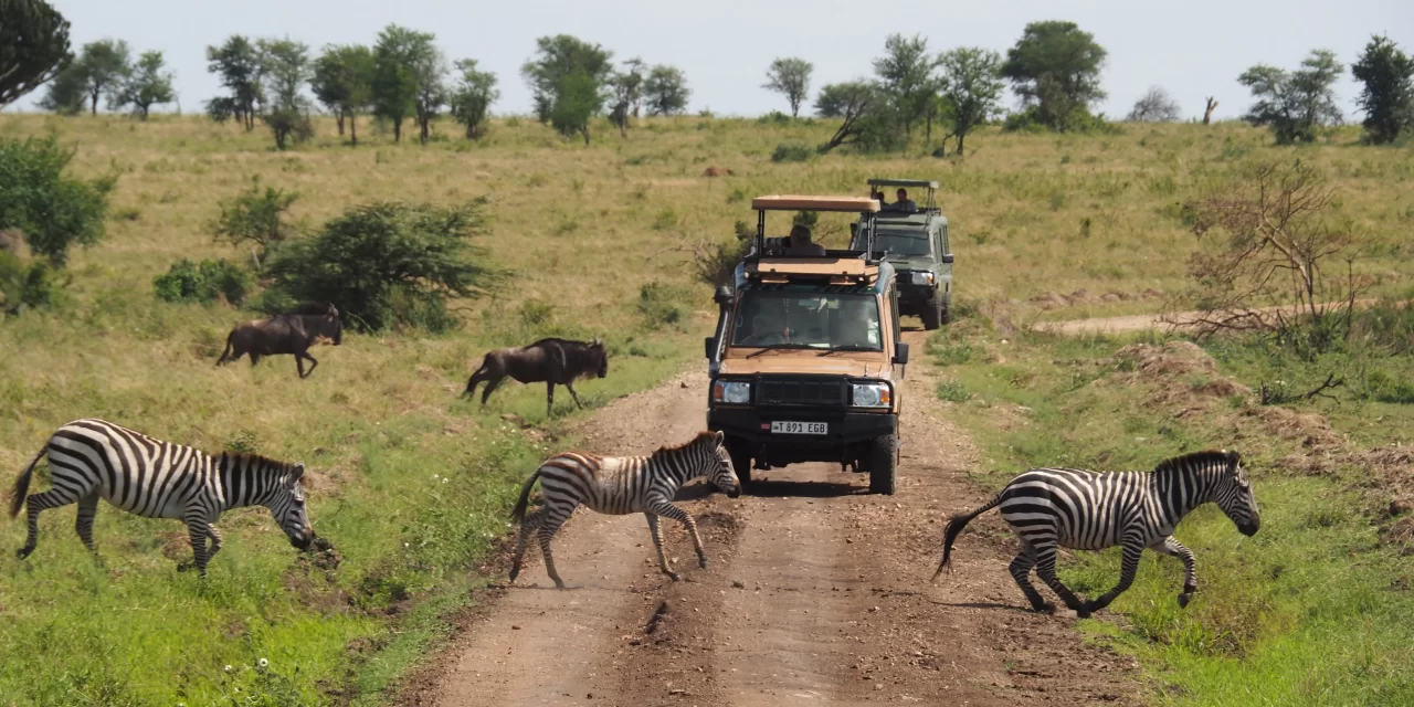 3-Day Safari Serengeti & Ngorongoro