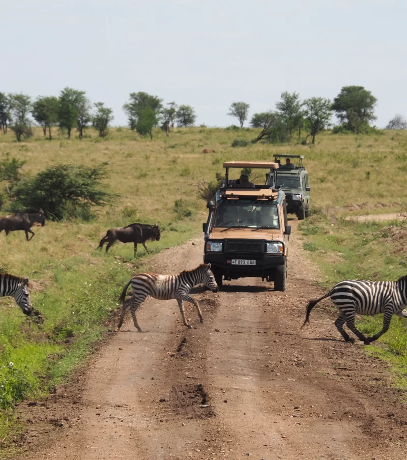 3-Day Safari Serengeti & Ngorongoro