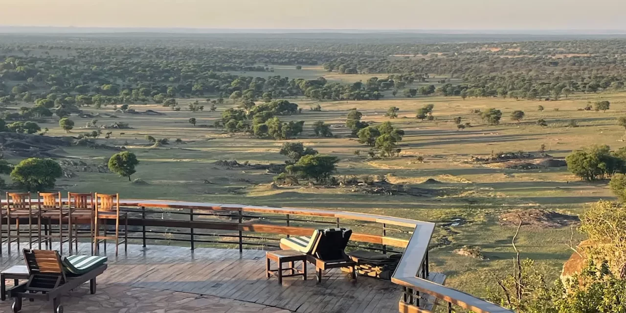 7-Day Tanzania Safari Odyssey