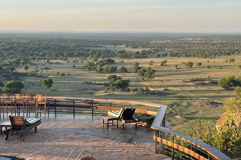 7-Day Tanzania Safari Odyssey